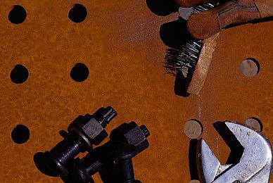 《狂野之心》将迎来更新 包含新化兽及新内容